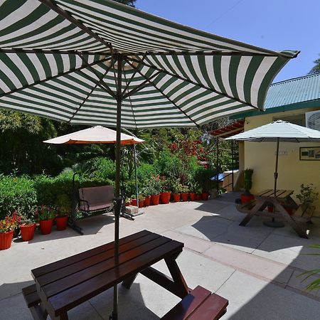 Oyo 12402 Mushkil Aasan Hotel Mount Abu Ngoại thất bức ảnh